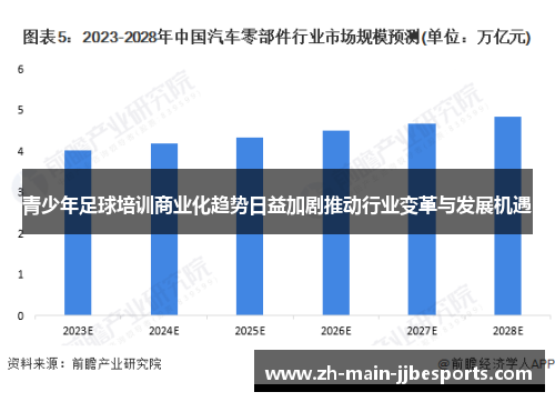 青少年足球培训商业化趋势日益加剧推动行业变革与发展机遇 青少年足球培训商业化趋势日益加剧推动行业变革与发展机遇