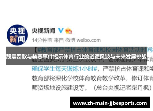 魏震罚款与禁赛事件揭示体育行业的道德风波与未来发展挑战